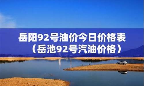 岳阳今日油价95汽油_岳阳今日油价92汽